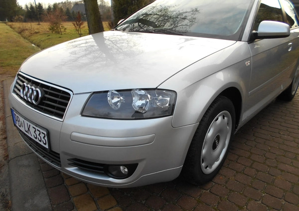 Audi A3 cena 11900 przebieg: 220000, rok produkcji 2004 z Kolbuszowa małe 407